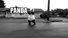 Panda Hit And Run GIF