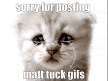 Matt Tuck Vikacore GIF - Matt Tuck Vikacore GIFs