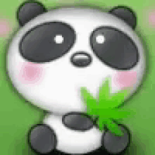 Panda Pandy GIF - Panda Pandy GIFs