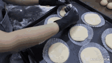 a bunch of dough on a tray with the words made in animatica on the bottom
