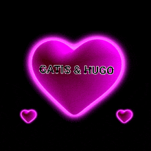 Gatis Y Hugo GIF