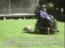 animal shade turtles ride on motor the elderly animal capers