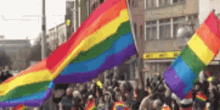 flag pride waving flags pride march rainbow