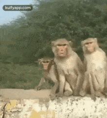 Me And My Friends Waiting For Modi Official Announcement About Lockdown.Gif GIF