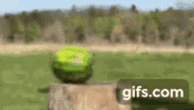 Smash Hammer GIF - Smash Hammer Watermelon GIFs