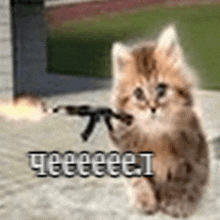 a kitten is sitting on the ground with a gun in its paws .