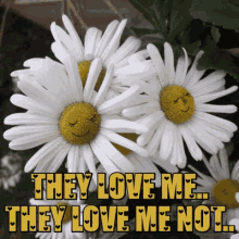 They Love Me They Love Me Not Forget Me Nots GIF - They Love Me They Love Me Not Forget Me Nots Daisies GIFs