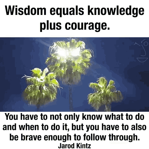 Wisdom Knowledge GIF - Wisdom Knowledge - Discover & Share GIFs