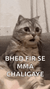GIF