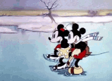 mickey mouse minnie ice skating lake