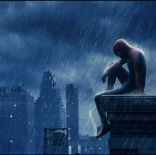 a spiderman sitting on a ledge in the rain