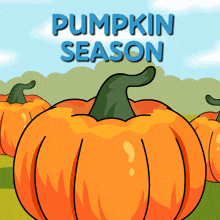 a poster for pumpkin season with a bunch of pumpkins in the background