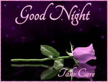 Good Night Take Care GIF - Good Night Take Care Purple Rose GIFs