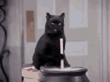 Cat Witch GIF - Cat Witch Evil GIFs