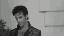 Prince Hair Stroke GIF - Prince Hair Stroke Stare GIFs