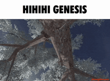 Genesis Hello GIF - Genesis Hello Albedo GIFs