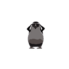 Deal With It Penguin GIF - Deal With It Penguin GIFs