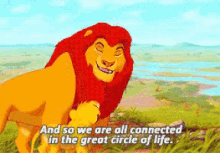Circle Of Life GIF - Circle Of Life Lion King Simba GIFs