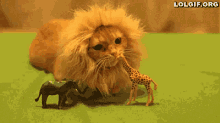 King Of The Jungle GIF - Cats Lion Bite GIFs