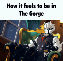a furry character sitting in a chair with the words how it feels to be in the gorge