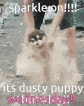 Dusty Dusty Puppy GIF - Dusty Dusty Puppy Son Of Dust GIFs