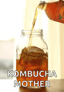 Kombucha Tea GIF - Kombucha Tea GIFs
