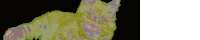 a colorful drawing of a cat with a black background