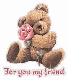for you my friend bear teddy bear rose flower