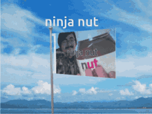 ninjamuffin fnf friday night funkin ninjanut nutella