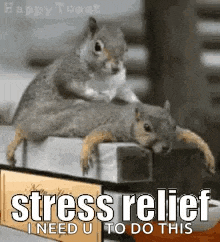 Stressrelief Relax GIF