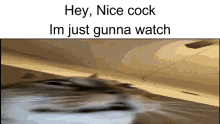 Cock Nice GIF