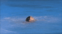 August In The Water Sogo Ishii GIF - August In The Water Sogo Ishii Rena Komine GIFs
