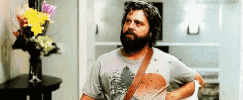 Zach on sale galifianakis satchel