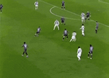 a group of soccer players on a field with the word veed on the bottom right