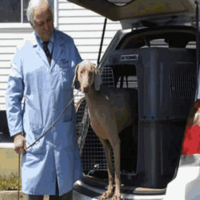 Pet transportation near sales me