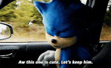 Sonic Aw This One Is Cute GIF - Sonic Aw This One Is Cute Lets Keep Him GIFs