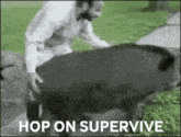 Hop On Supervive Hogs Always Win GIF