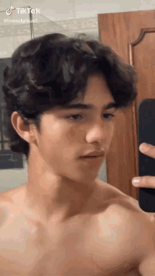 a shirtless young man is taking a selfie in a bathroom mirror .