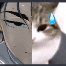 a close up of a person 's face and a close up of a cat 's face