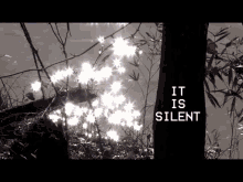 a black and white photo with the words " it is silent " in white