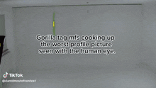 Gorilla Tag Gtag GIF