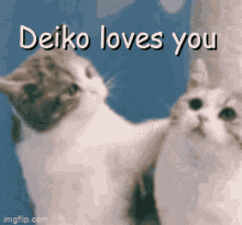 Deiko Love GIF - Deiko Love Deiko Loves You GIFs