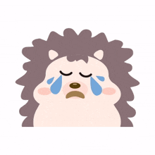 hedgehog cute brown cry teary eyes