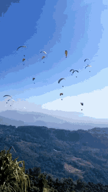 Paragliding Parapente GIF - Paragliding Parapente Pokhara GIFs