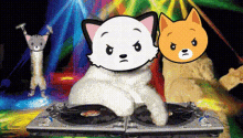 Party Cats GIF - Party Cats Bcfc GIFs