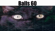 Balls Balls 60 GIF - Balls Balls 60 Cat GIFs