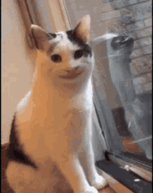 Smile Cat GIF - Smile Cat Kitten GIFs
