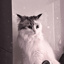a cat is sitting in front of a fridge with a sign on it that says ' sd '