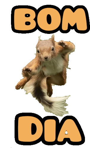 Bom Dia Esquilo Sticker - Bom Dia Esquilo Stickers