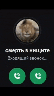 a phone screen with a picture of a lion and the words " смерть в нищите "